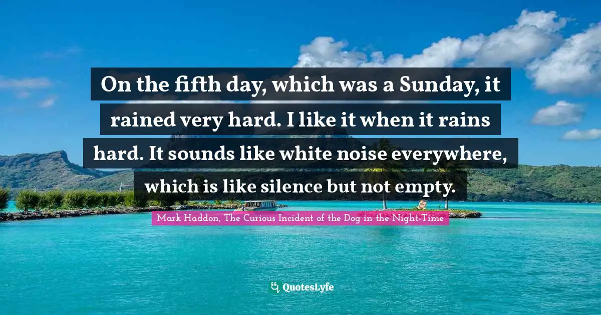 On the fifth day, which was a Sunday, it rained very hard. I like it when it rains hard. It sounds like white noise everywhere, which is like silence but not empty.