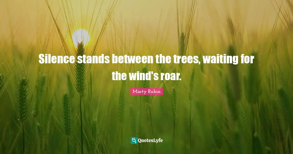 Silence stands between the trees, waiting for the wind's roar.