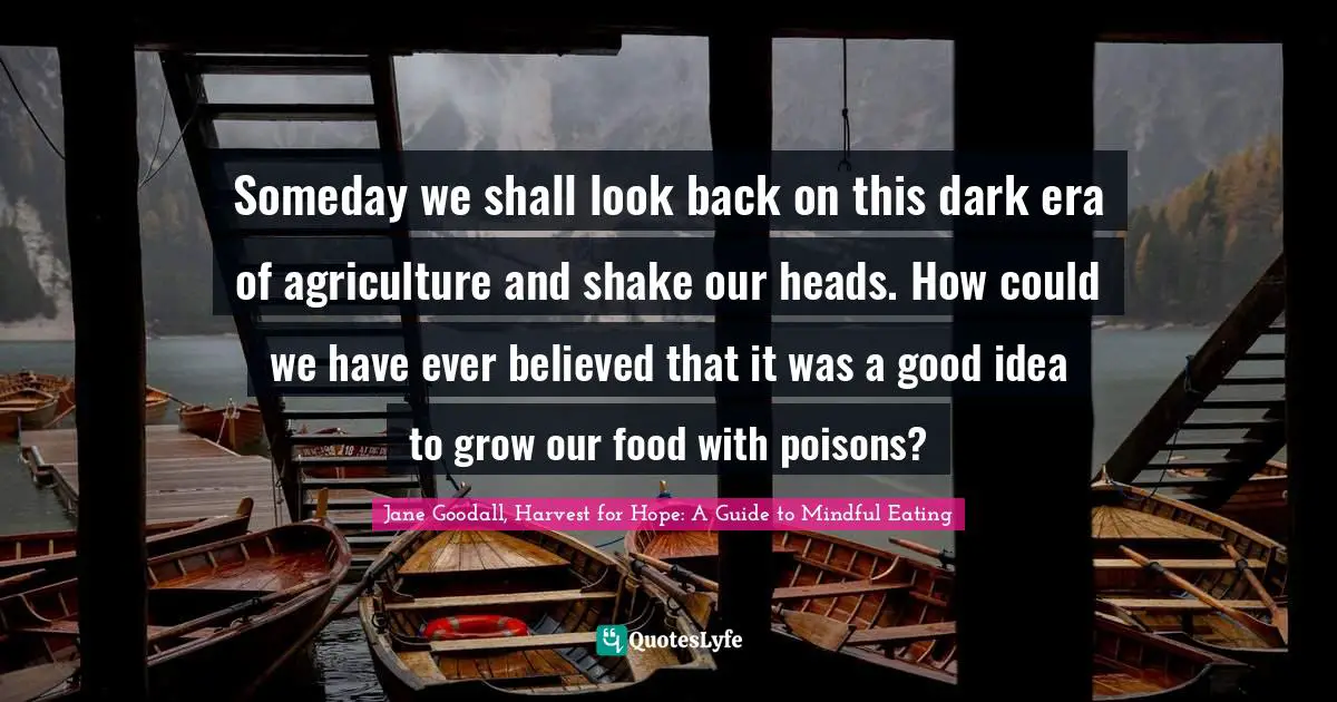 Someday we shall look back on this dark era of agriculture and shake our heads. How could we have ever believed that it was a good idea to grow our food with poisons?