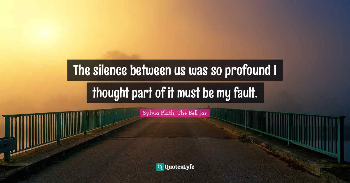 The silence between us was so profound I thought part of it must be my fault.