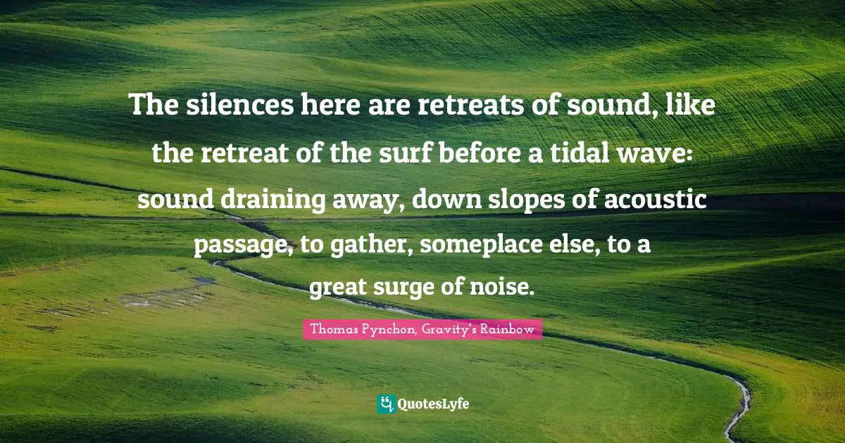 The silences here are retreats of sound, like the retreat of the surf before a tidal wave: sound draining away, down slopes of acoustic passage, to gather, someplace else, to a great surge of noise.