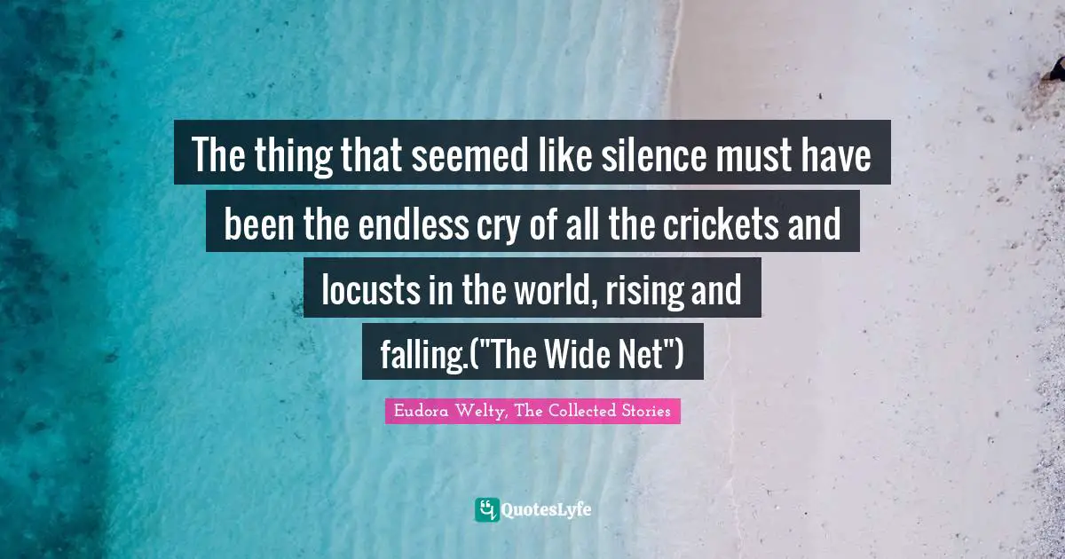The thing that seemed like silence must have been the endless cry of all the crickets and locusts in the world, rising and falling.("The Wide Net")
