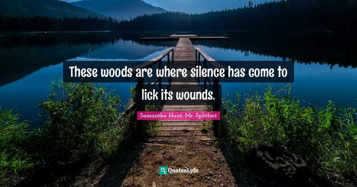 These woods are where silence has come to lick its wounds.