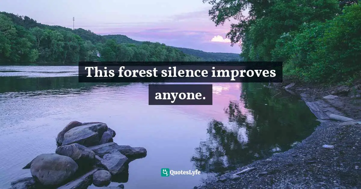 This forest silence improves anyone.