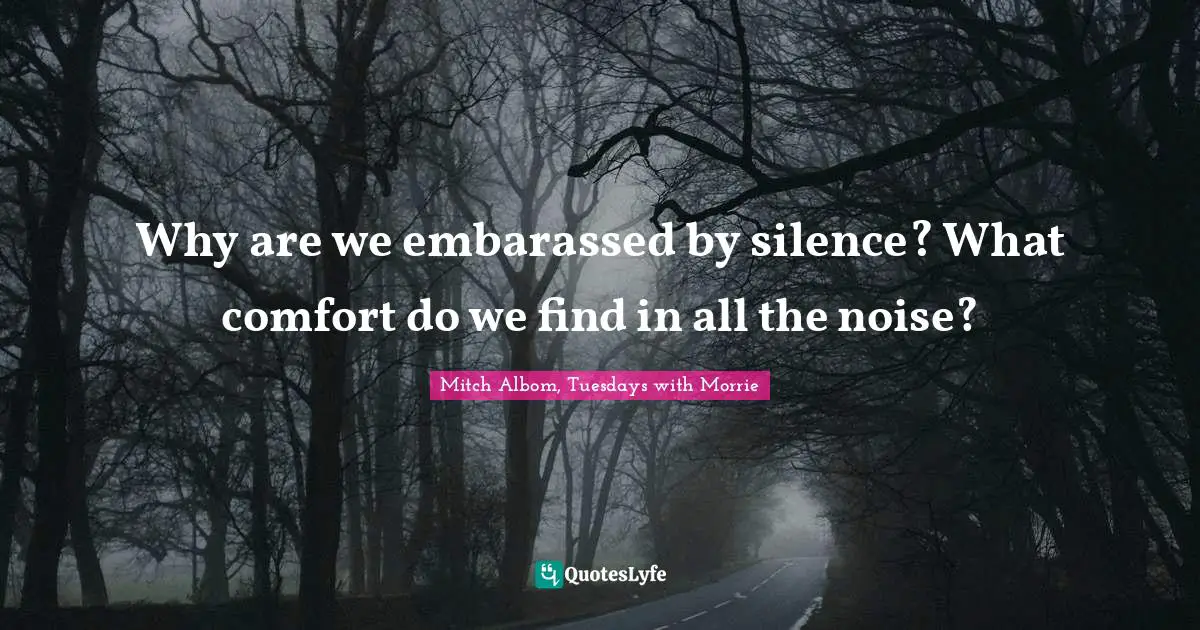 Why are we embarassed by silence? What comfort do we find in all the noise?