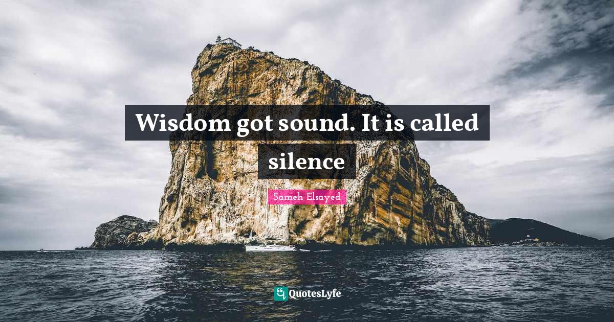 Wisdom got sound. It is called silence... Quote by Sameh Elsayed