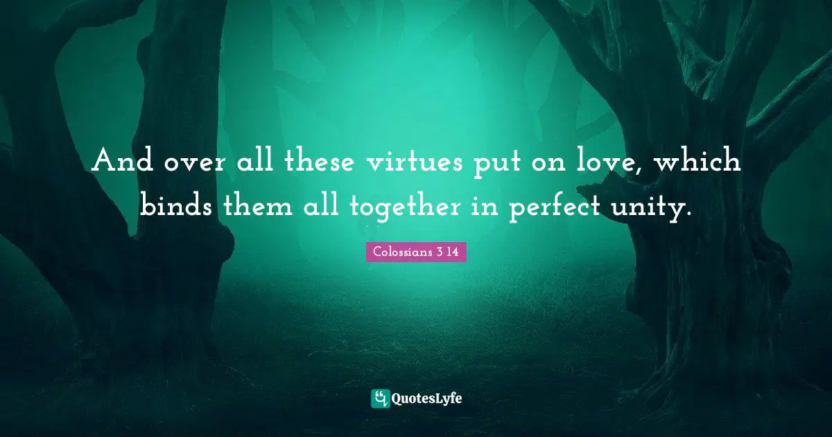 And over all these virtues put on love, which binds them all together in perfect unity.