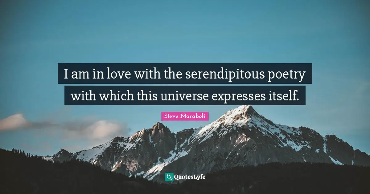 I am in love with the serendipitous poetry with which this universe expresses itself.