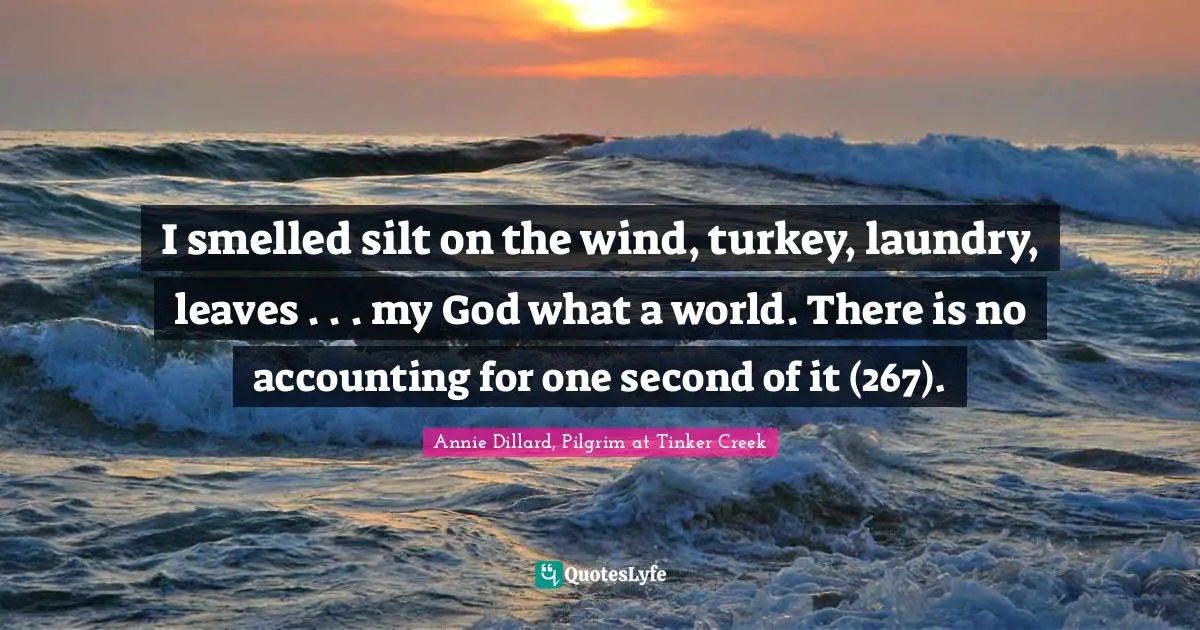I smelled silt on the wind, turkey, laundry, leaves . . . my God what a world. There is no accounting for one second of it (267).