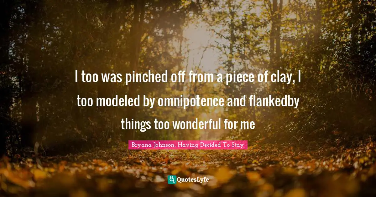 I too was pinched off from a piece of clay, I too modeled by omnipotence and flankedby things too wonderful for me