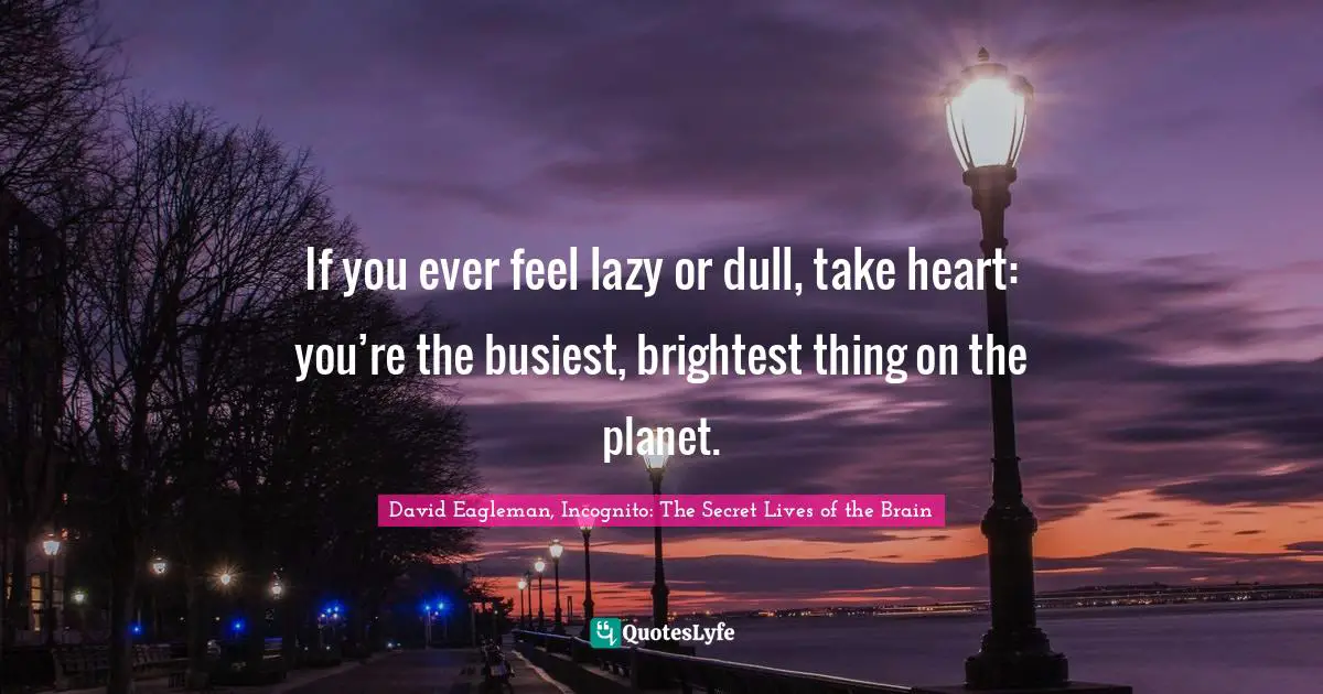 If you ever feel lazy or dull, take heart: you’re the busiest, brightest thing on the planet.