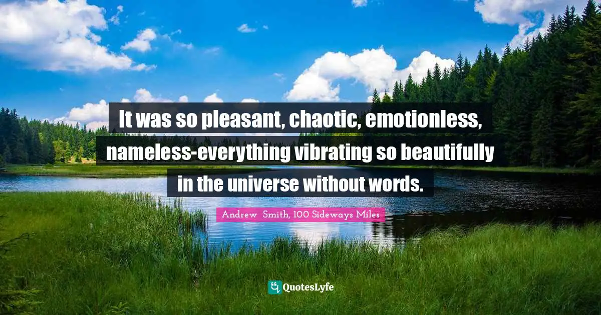 It was so pleasant, chaotic, emotionless, nameless-everything vibrating so beautifully in the universe without words.