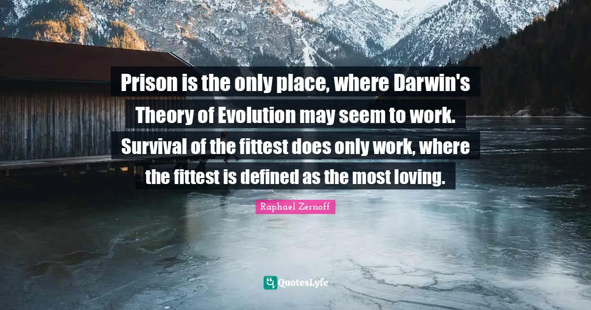 Prison is the only place, where Darwin's Theory of Evolution may seem to work. Survival of the fittest does only work, where the fittest is defined as the most loving.