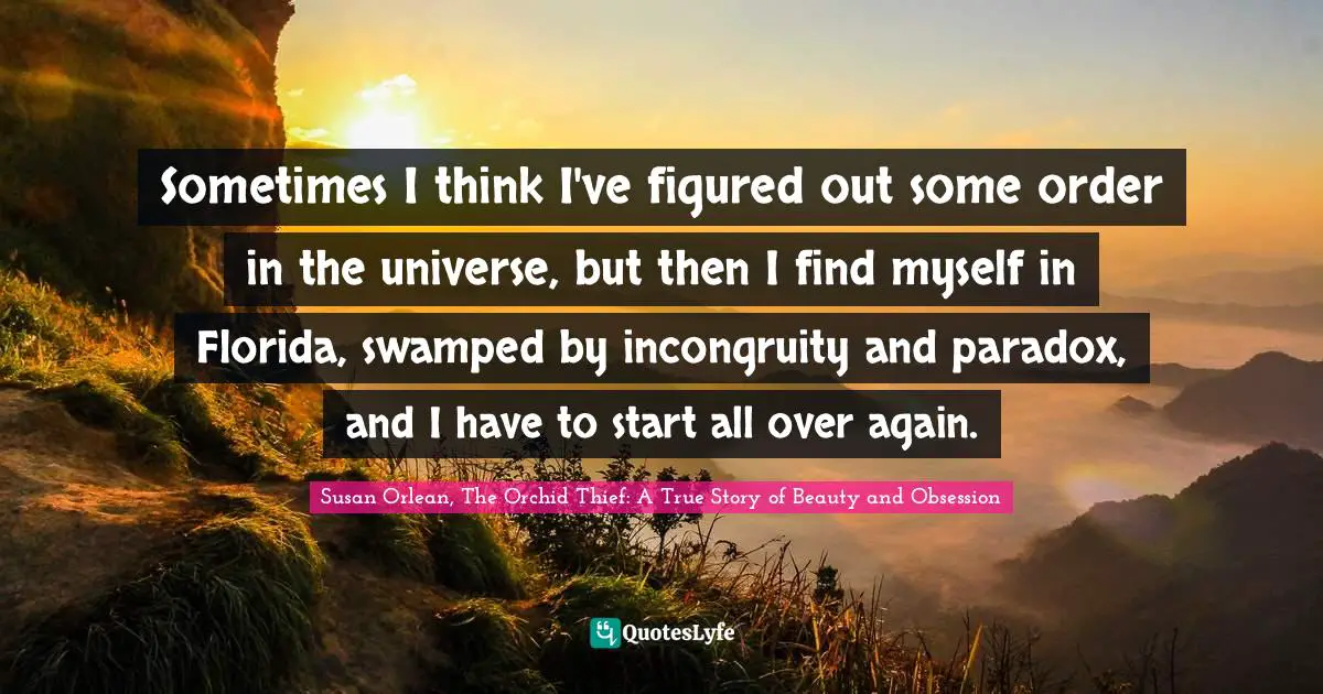 Sometimes I think I've figured out some order in the universe, but then I find myself in Florida, swamped by incongruity and paradox, and I have to start all over again.