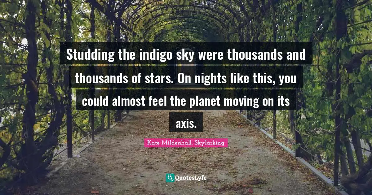 Studding the indigo sky were thousands and thousands of stars. On nights like this, you could almost feel the planet moving on its axis.