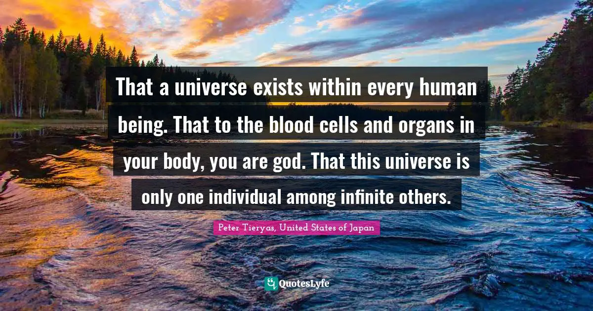That a universe exists within every human being. That to the blood cells and organs in your body, you are god. That this universe is only one individual among infinite others.