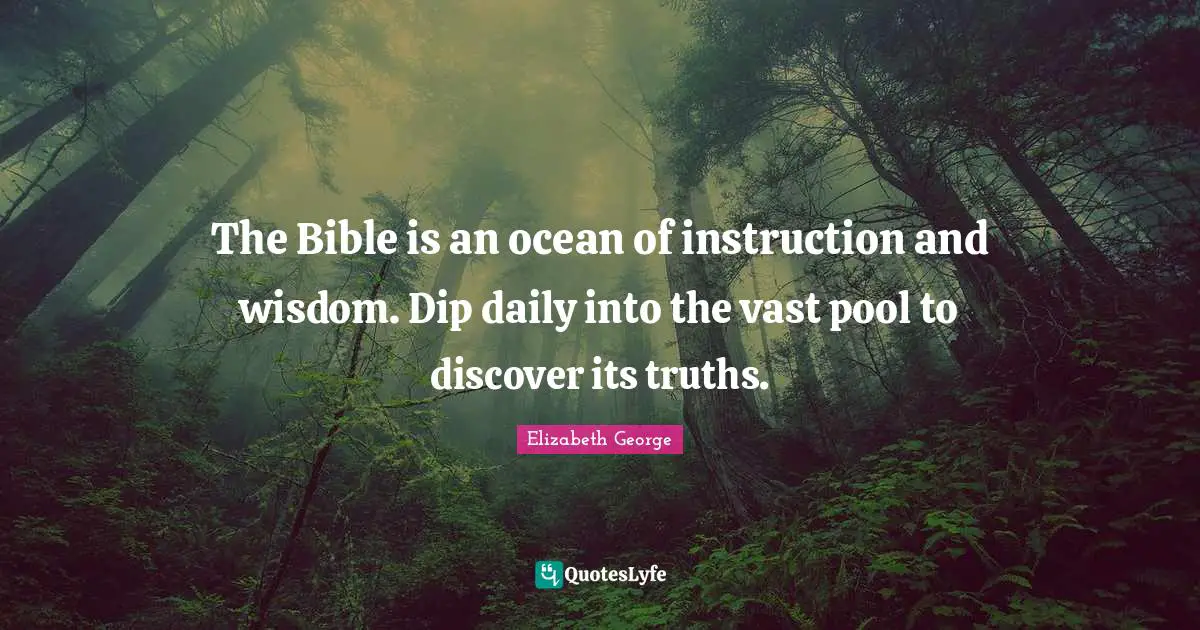 The Bible is an ocean of instruction and wisdom. Dip daily into the vast pool to discover its truths.