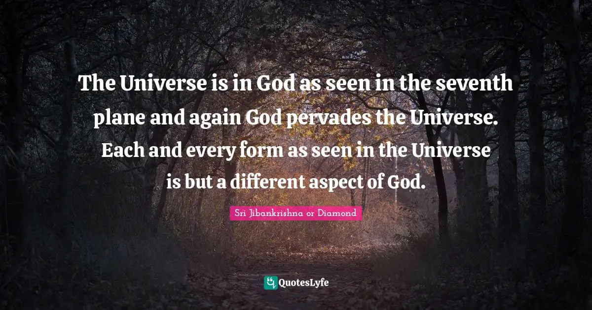 The Universe is in God as seen in the seventh plane and again God pervades the Universe. Each and every form as seen in the Universe is but a different aspect of God.