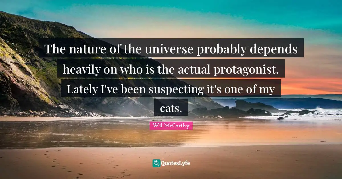 The nature of the universe probably depends heavily on who is the actual protagonist. Lately I've been suspecting it's one of my cats.
