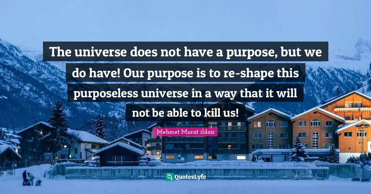 The universe does not have a purpose, but we do have! Our purpose is to re-shape this purposeless universe in a way that it will not be able to kill us!