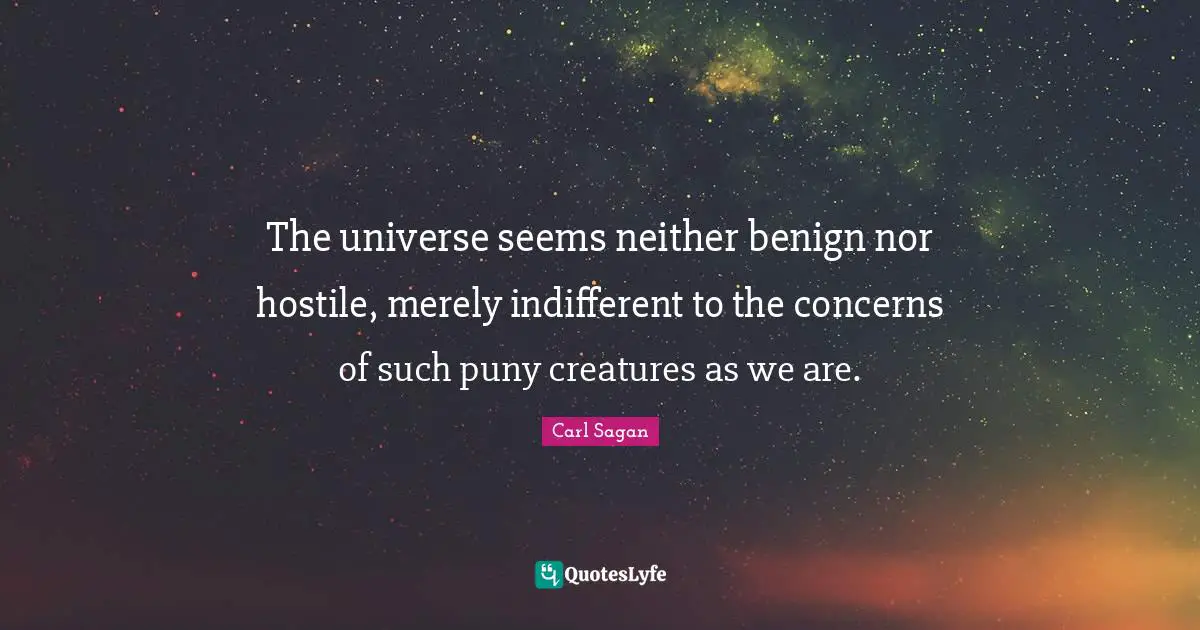 The universe seems neither benign nor hostile, merely indifferent to the concerns of such puny creatures as we are.