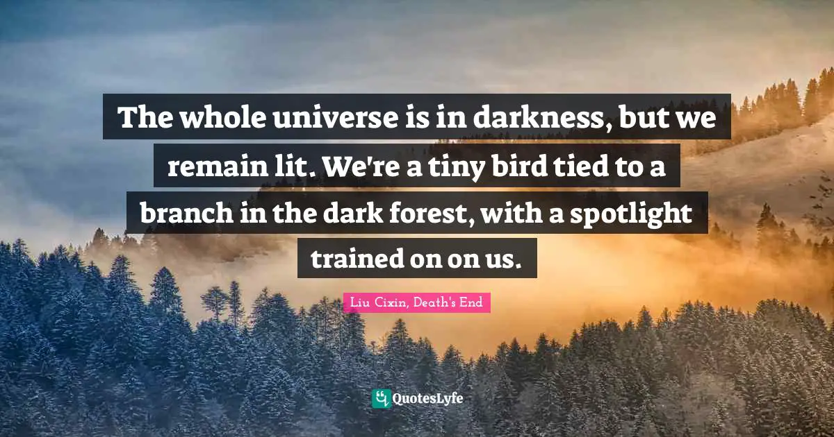 The whole universe is in darkness, but we remain lit. We're a tiny bird tied to a branch in the dark forest, with a spotlight trained on on us.