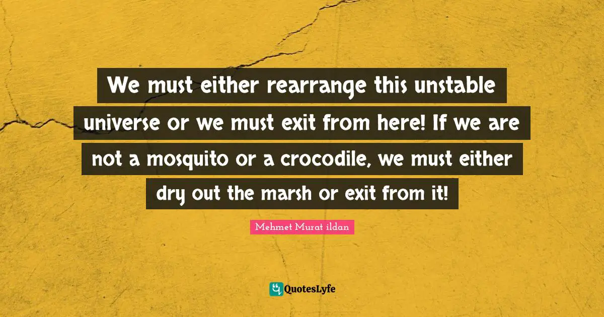 We must either rearrange this unstable universe or we must exit from here! If we are not a mosquito or a crocodile, we must either dry out the marsh or exit from it!
