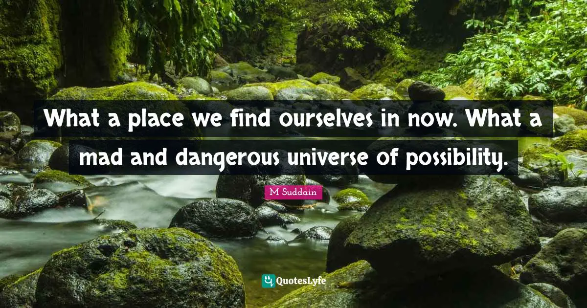 What a place we find ourselves in now. What a mad and dangerous universe of possibility.