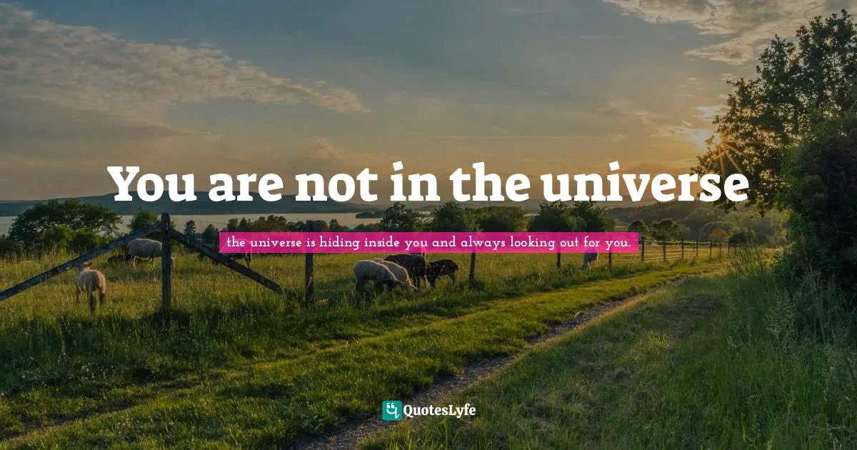 You are not in the universe