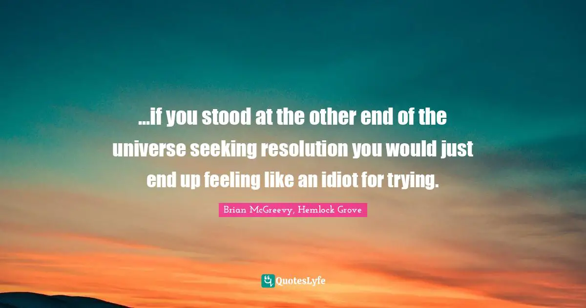 ...if you stood at the other end of the universe seeking resolution you would just end up feeling like an idiot for trying.