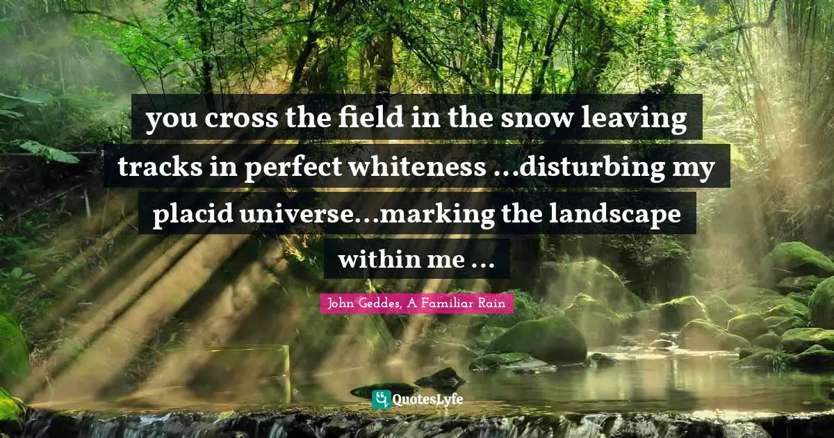 you cross the field in the snow leaving tracks in perfect whiteness ...disturbing my placid universe...marking the landscape within me ...
