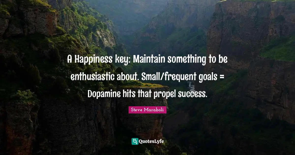 A Happiness key: Maintain something to be enthusiastic about. Small/frequent goals = Dopamine hits that propel success.