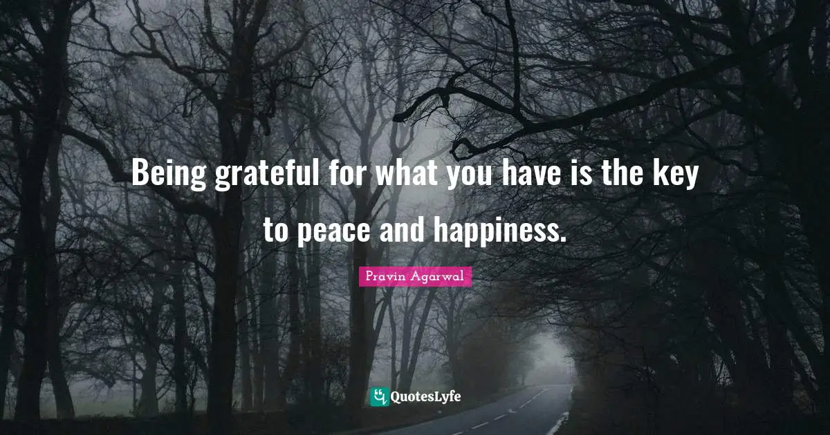 Being grateful for what you have is the key to peace and happiness.