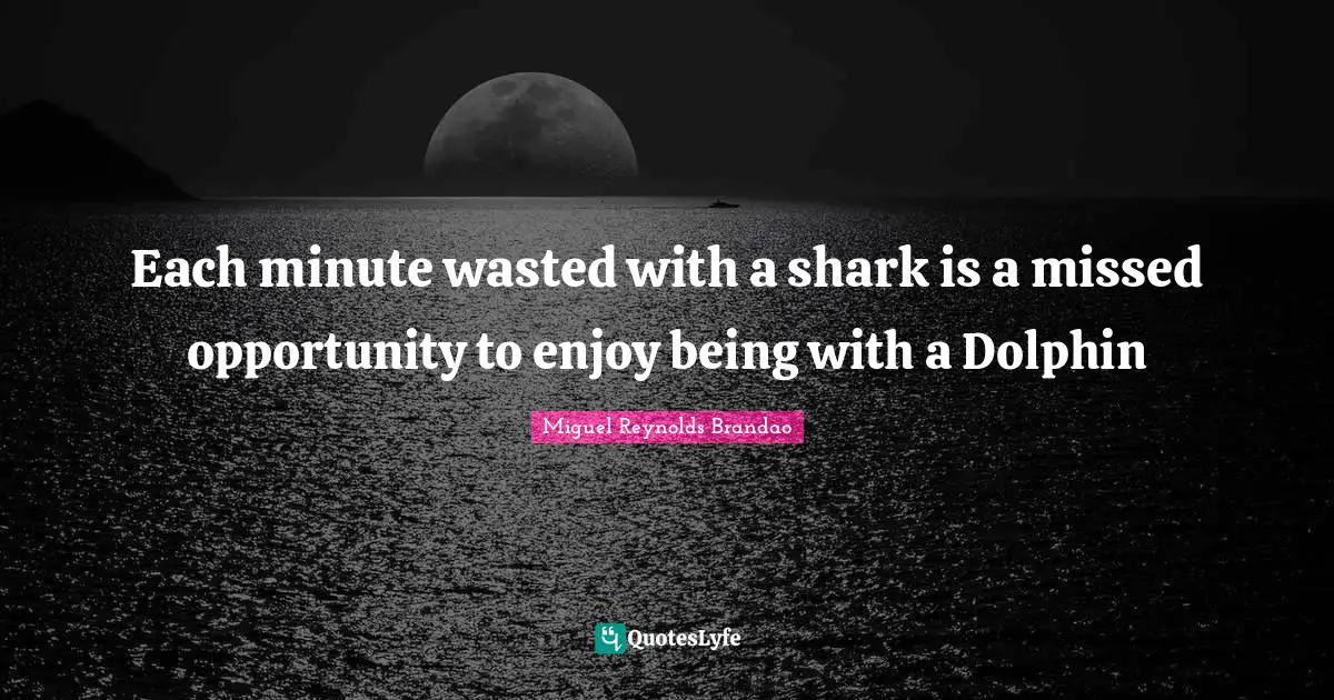 Each minute wasted with a shark is a missed opportunity to enjoy being with a Dolphin