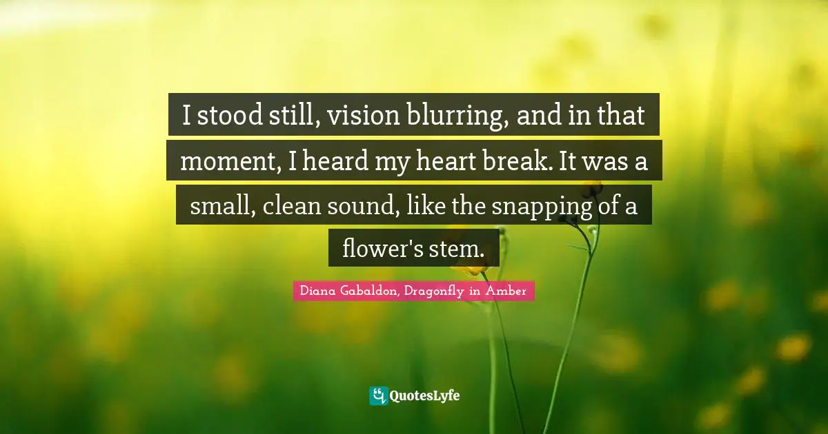 Time Travel Quotes: "I stood still, vision blurring, and in that moment, I heard my heart break. It was a small, clean sound, like the snapping of a flower's stem."