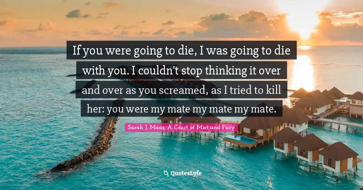 If you were going to die, I was going to die with you. I couldn't stop thinking it over and over as you screamed, as I tried to kill her: you were my mate my mate my mate.