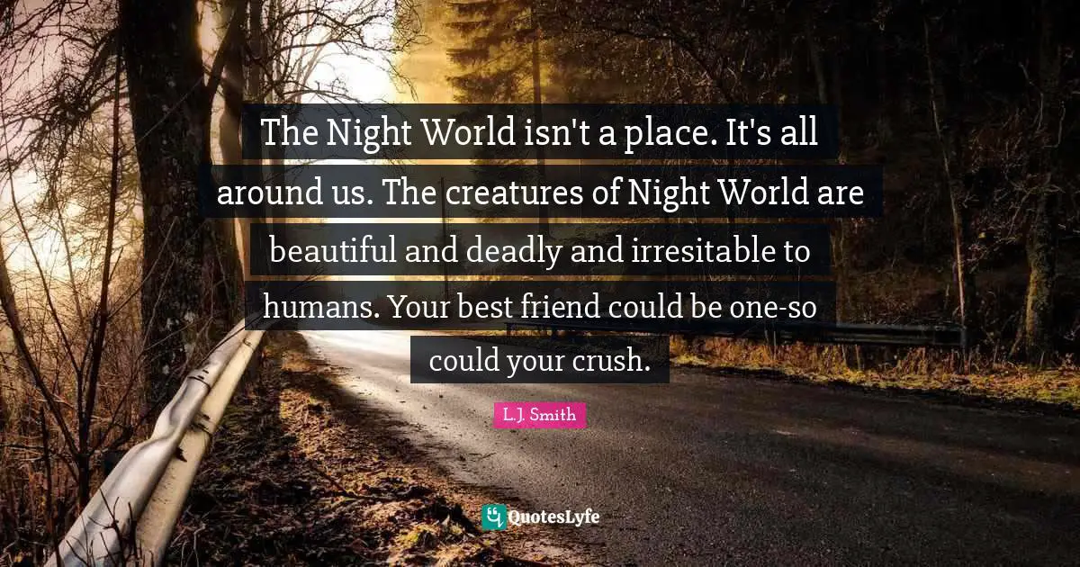 The Night World isn't a place. It's all around us. The creatures of Night World are beautiful and deadly and irresitable to humans. Your best friend could be one-so could your crush.