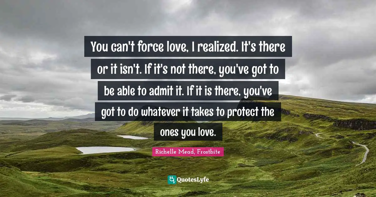 You can't force love, I realized. It's there or it isn't. If it's not there, you've got to be able to admit it. If it is there, you've got to do whatever it takes to protect the ones you love.