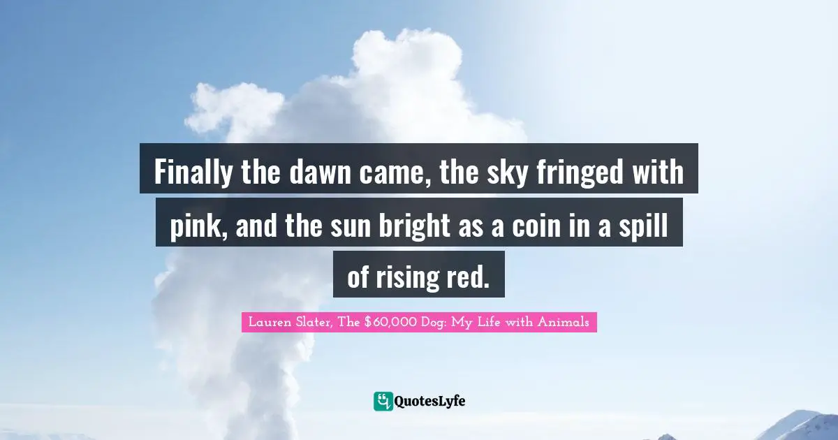Finally the dawn came, the sky fringed with pink, and the sun bright as a coin in a spill of rising red.