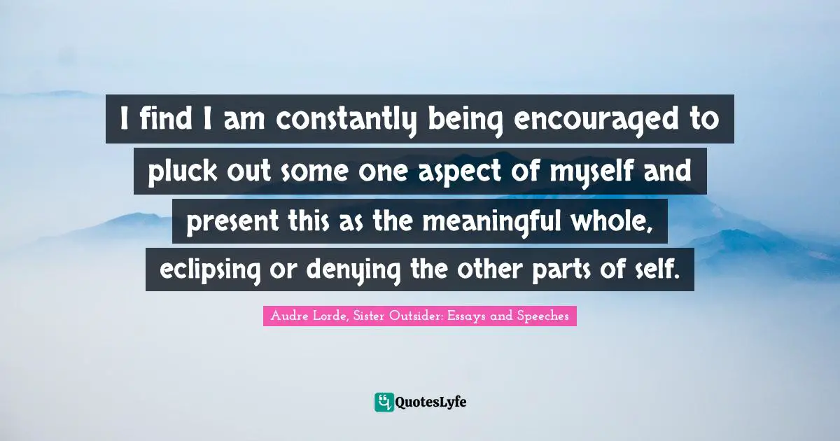I find I am constantly being encouraged to pluck out some one aspect of myself and present this as the meaningful whole, eclipsing or denying the other parts of self.