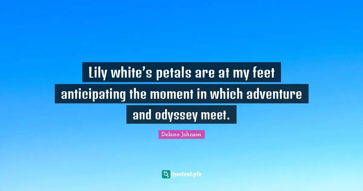 Lily white’s petals are at my feet anticipating the moment in which adventure and odyssey meet.
