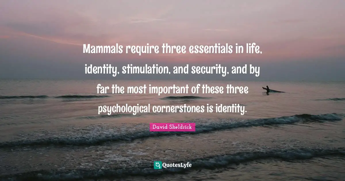 Mammals require three essentials in life, identity, stimulation, and security, and by far the most important of these three psychological cornerstones is identity.