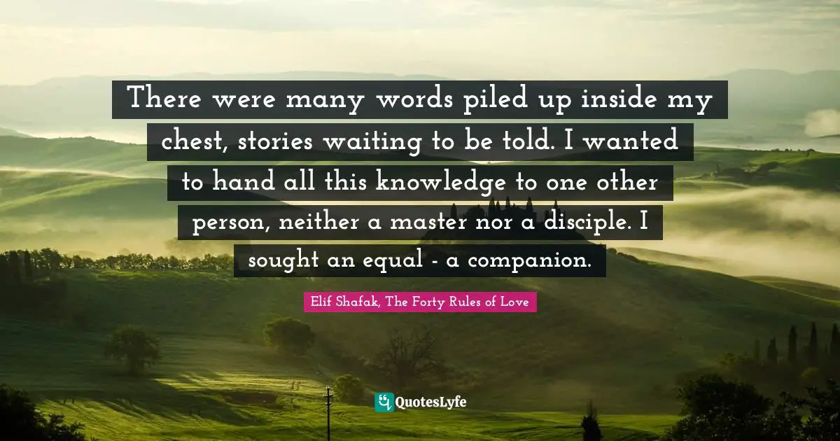 There were many words piled up inside my chest, stories waiting to be told. I wanted to hand all this knowledge to one other person, neither a master nor a disciple. I sought an equal - a companion.