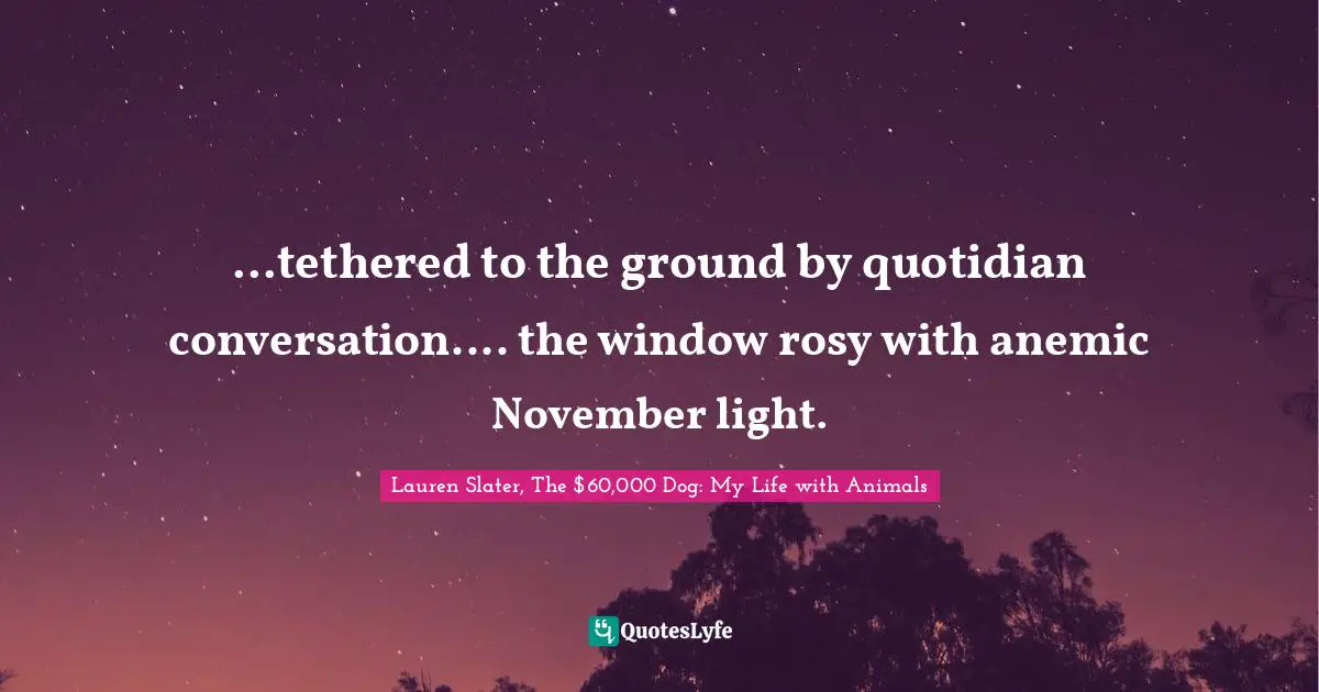 ...tethered to the ground by quotidian conversation.... the window rosy with anemic November light.