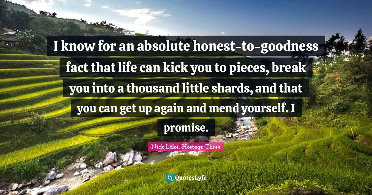 I know for an absolute honest-to-goodness fact that life can kick you to pieces, break you into a thousand little shards, and that you can get up again and mend yourself. I promise.