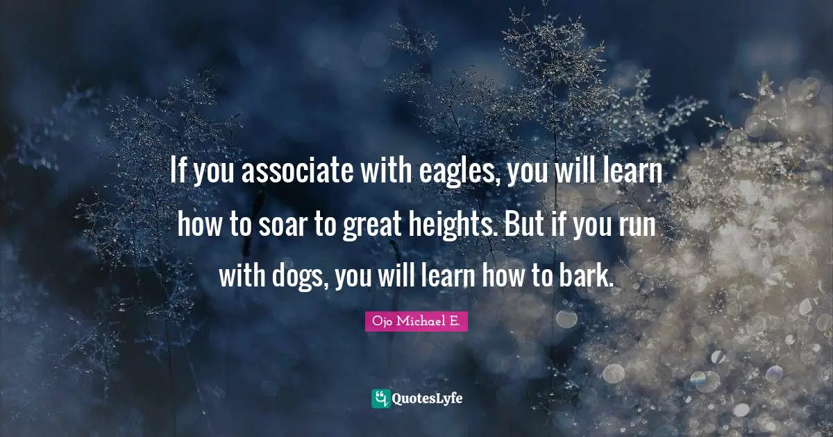 If you associate with eagles, you will learn how to soar to great heights. But if you run with dogs, you will learn how to bark.