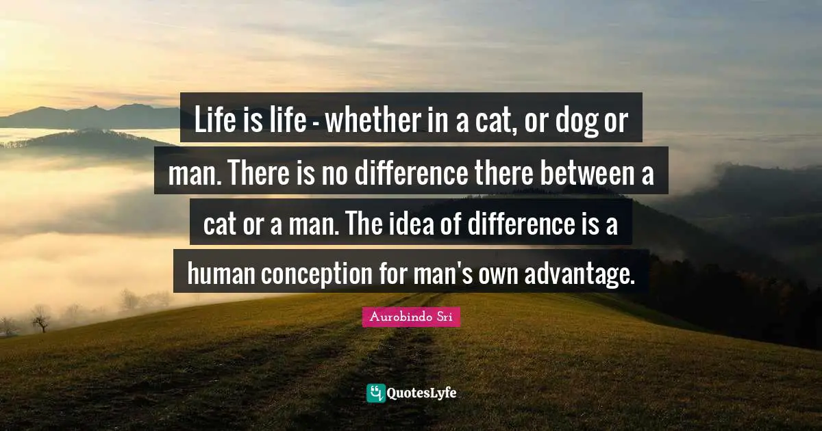 Inspirational Attitude Quotes: "Life is life - whether in a cat, or dog or man. There is no difference there between a cat or a man. The idea of difference is a human conception for man's own advantage."