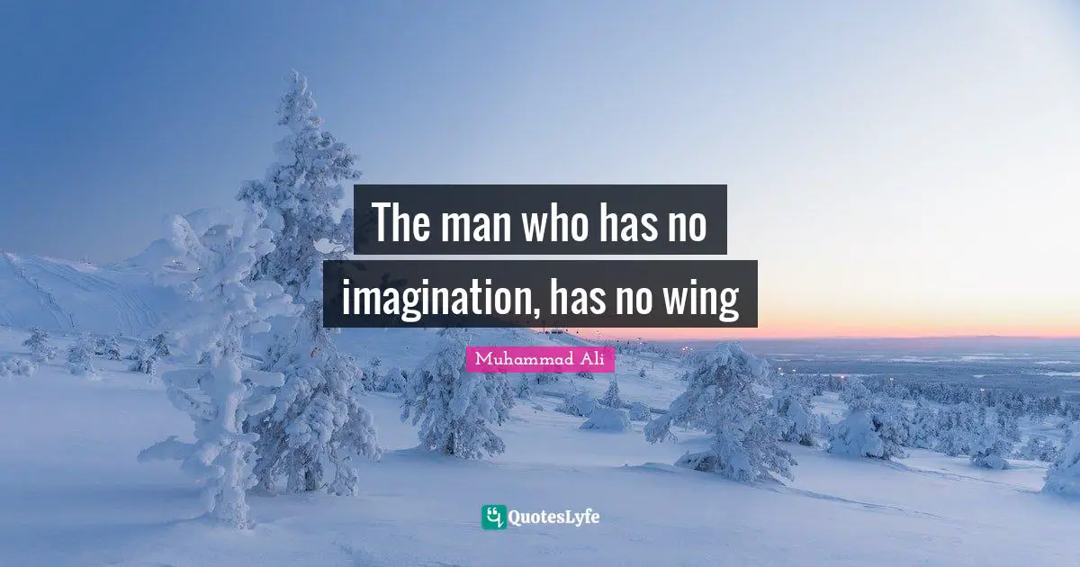The man who has no imagination, has no wing