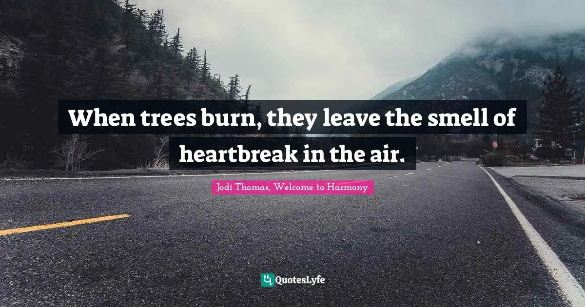 When trees burn, they leave the smell of heartbreak in the air.