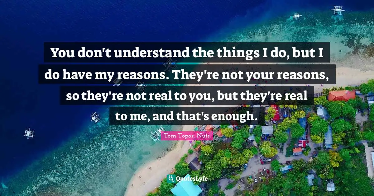 You don't understand the things I do, but I do have my reasons. They're not your reasons, so they're not real to you, but they're real to me, and that's enough.